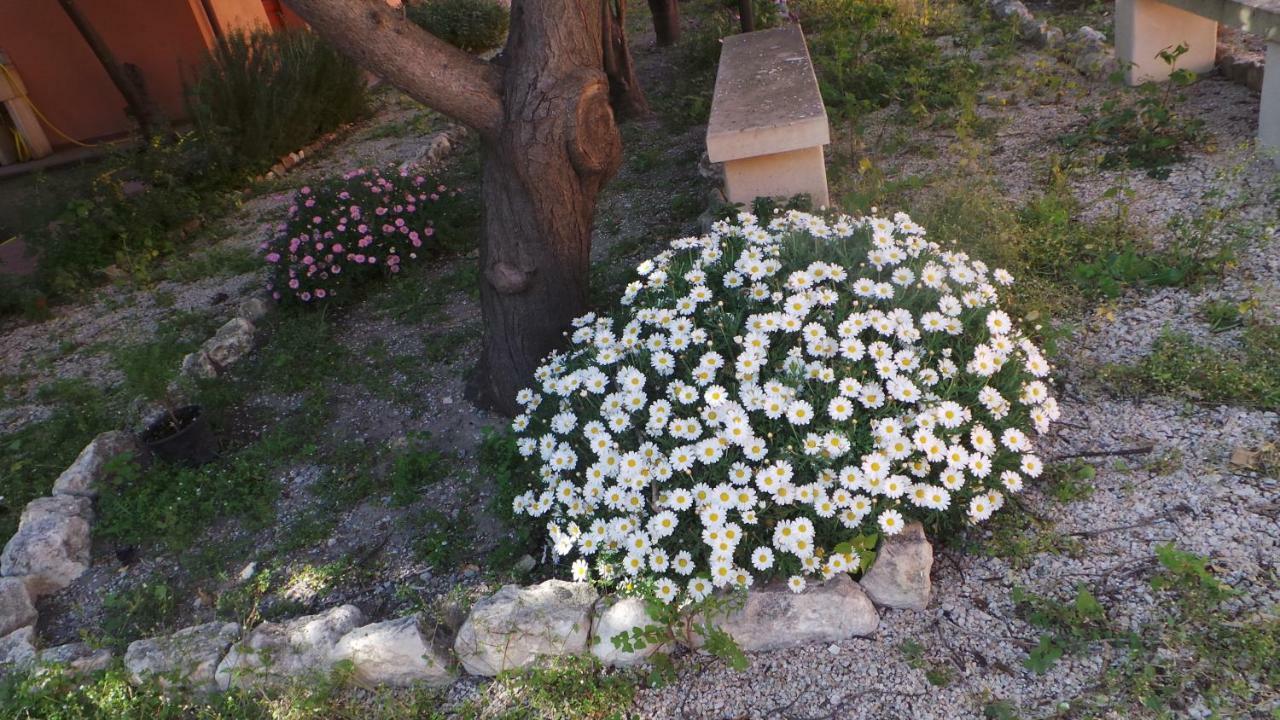 Bed and Breakfast Oasi Ottocento Куарту-Сант'Элена Экстерьер фото